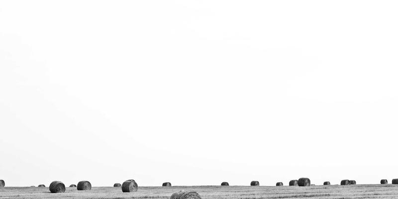 创意礼品72：用猫头鹰莉莉点亮家居装饰，打造难以忘怀的独特礼物