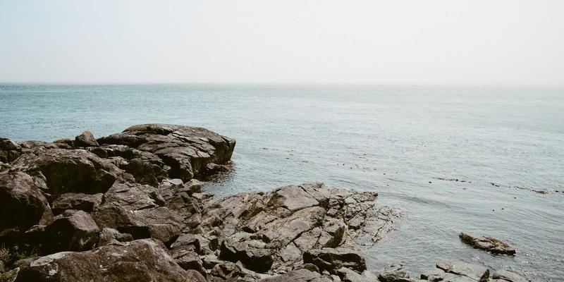 创意礼品新宠:猫头鹰莉莉如何成为独特礼物的灵魂之选