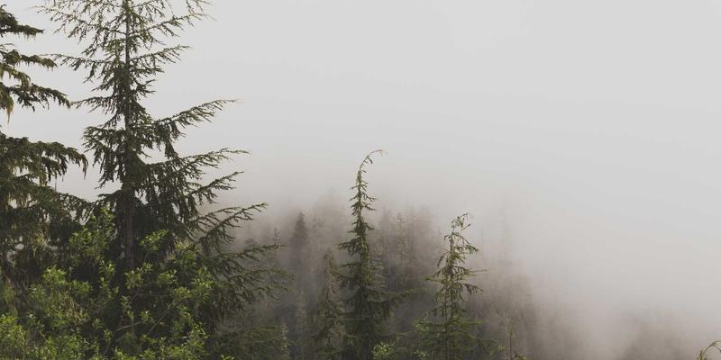 创意礼品新趋势：手工制作与艺术家作品的独特魅力