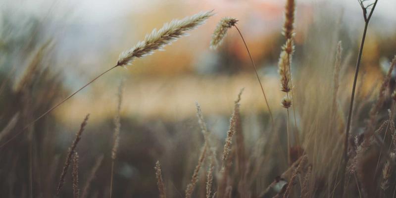 创意礼品新趋势：艺术家作品与手工艺品如何成为情感连接的桥梁