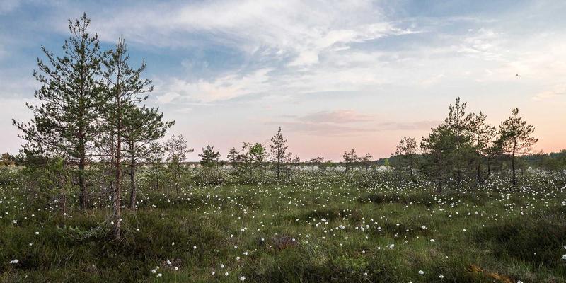 创意礼品评测 | 当猫头鹰莉莉遇见艺术家作品:一份有灵魂的礼物指南