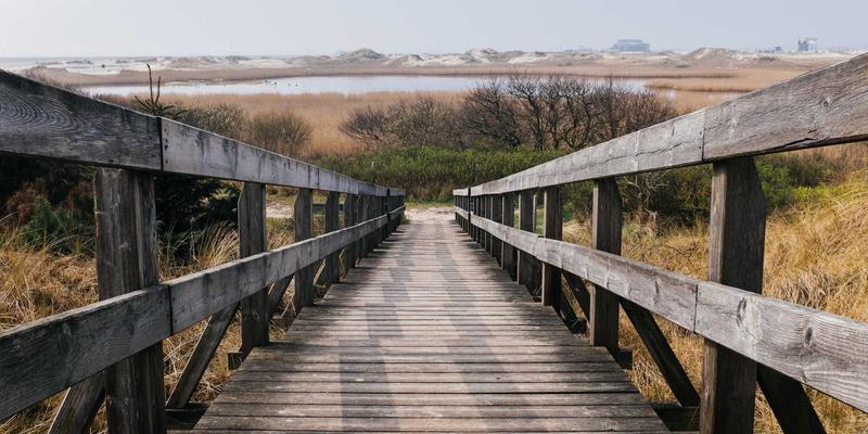 创意礼物的独特魅力:为何选择手工艺品如猫头鹰莉莉?