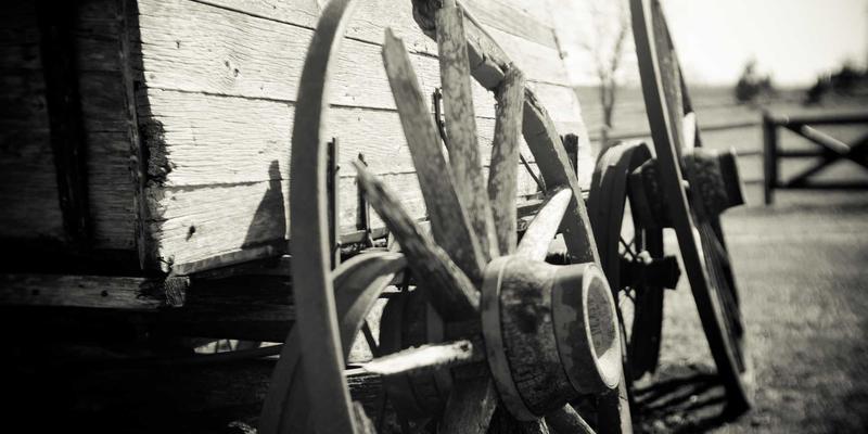 猫头鹰莉莉：当艺术家作品成为独特礼物的灵魂