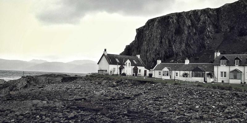 猫头鹰莉莉：未来主义设计如何重塑家居装饰的创意礼品新美学