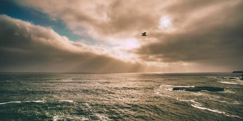 艺术家作品与独特礼物指南：科技美学融合的创意收藏