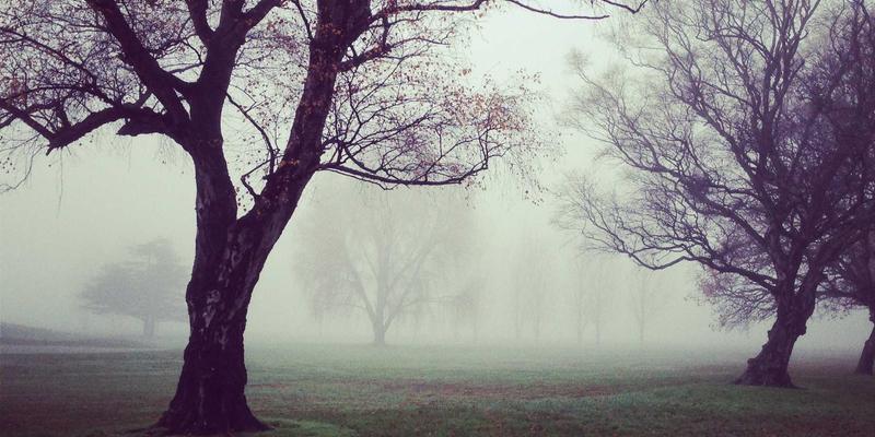 艺术家作品中的嗅觉叙事：从猫头鹰莉莉看香氛艺术收藏的定制化设计