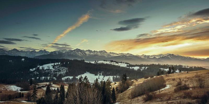 艺术收藏与手工艺品：揭秘定制化宠物用品与纪念品的情感消费蓝海